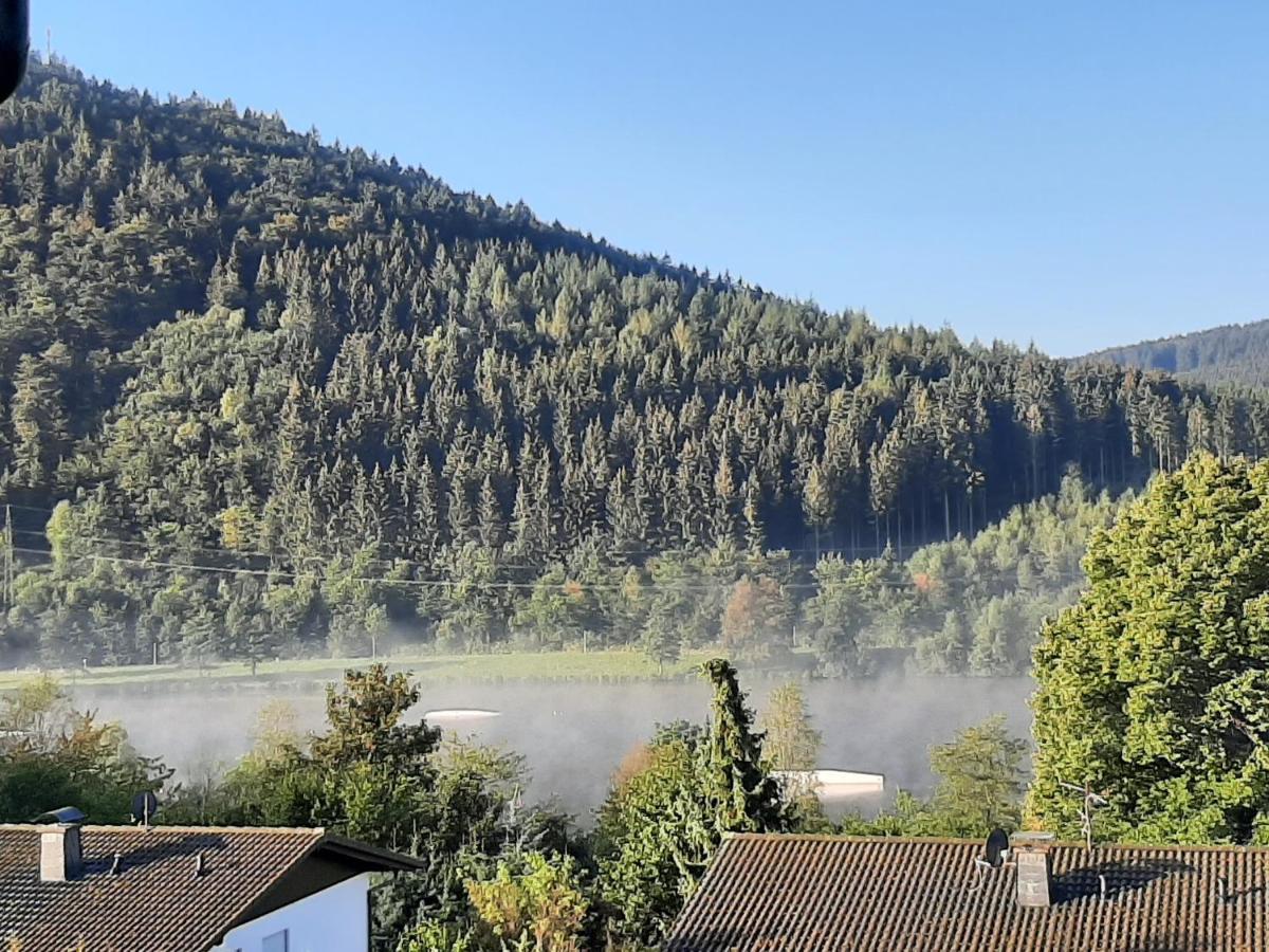 Ferienwohnung Zeitlos, Gigantischer Seeblick, Wlan, Gerne Mit Hund Винтерберг Экстерьер фото