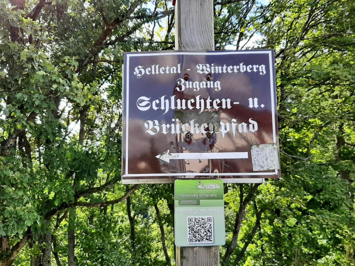 Ferienwohnung Zeitlos, Gigantischer Seeblick, Wlan, Gerne Mit Hund Винтерберг Экстерьер фото